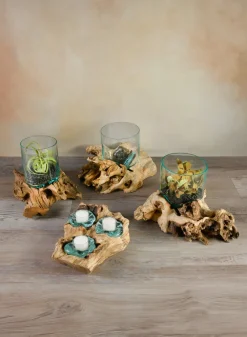 Jakarta Teak Stump With Glass Cylinder, Large