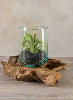 Jakarta Teak Stump With Glass Cylinder, Large