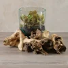 Jakarta Teak Stump With Glass Cylinder, Small