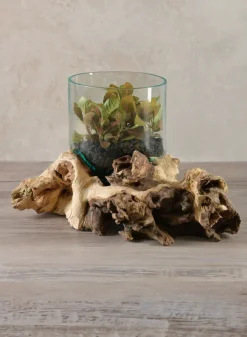 Jakarta Teak Stump With Glass Cylinder, Small