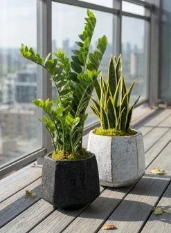 Kesari Aged Black Fiberglass Planter