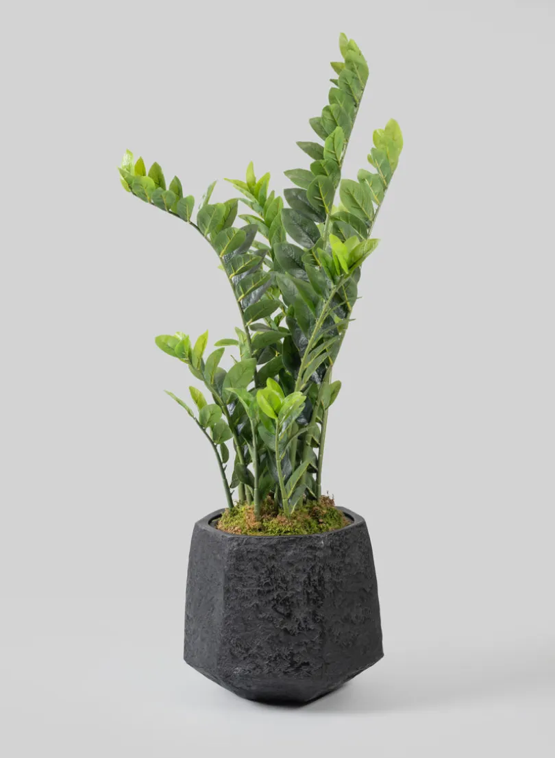 Kesari Aged Black Fiberglass Planter