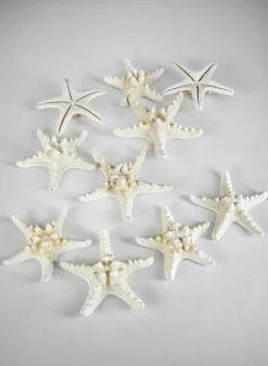 Knobby White Starfish, Set of 10