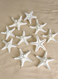 Knobby White Starfish, Set of 10