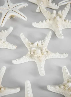 Knobby White Starfish, Set of 10