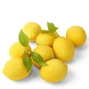 Lemons With Loose Leaves, Set of 8