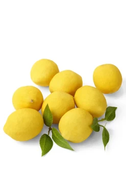 Lemons With Loose Leaves, Set of 8