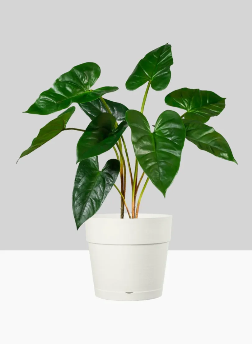 Loft White Plastic Pot With Attached Saucer