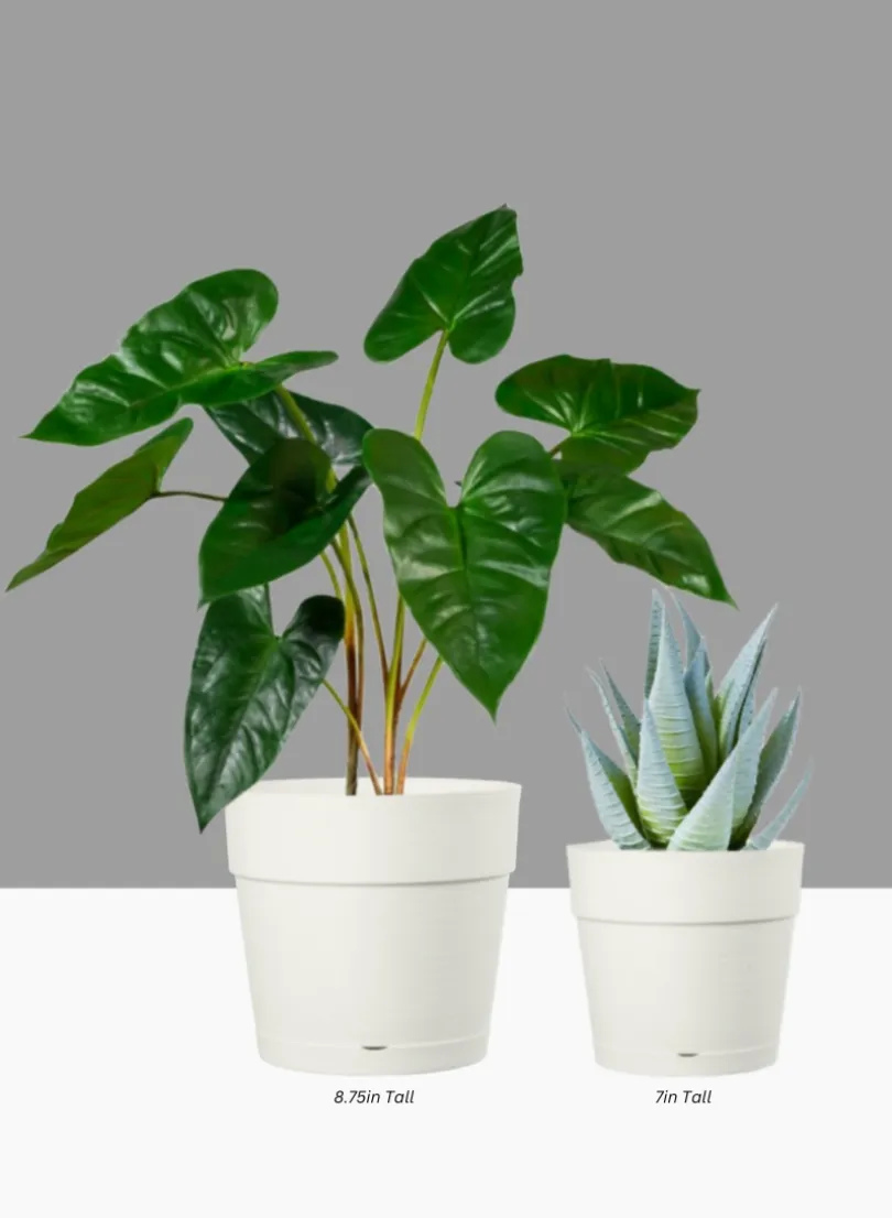 Loft White Plastic Pot With Attached Saucer