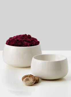 Low White Ceramic Bowls