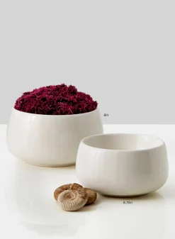Low White Ceramic Bowls