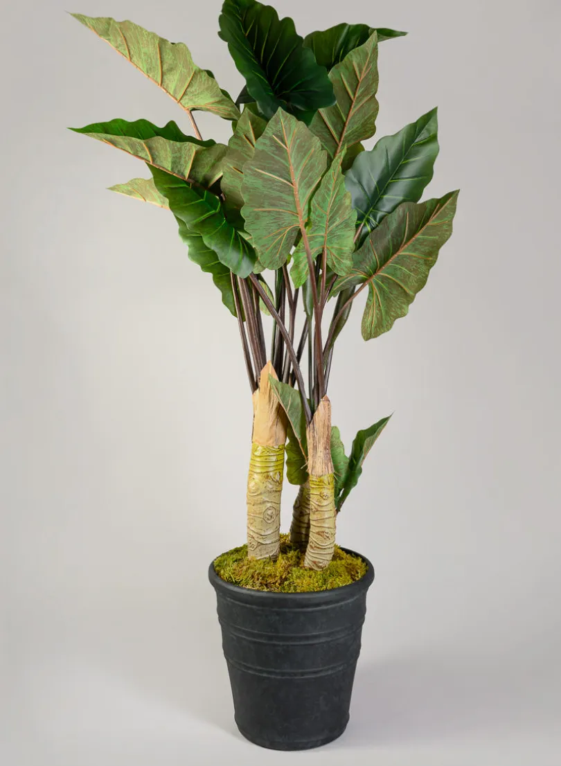 Manhattan Black Light Weight PVC Rolled Rim Planter