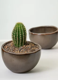 Mashiko Aged Brown Ceramic Bowl