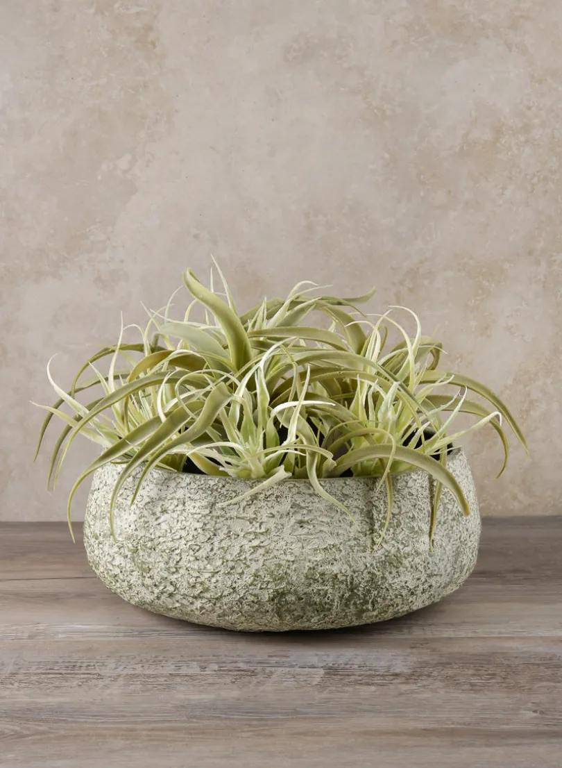 Mesquite Chalk Stone Moss Green Low Bowl