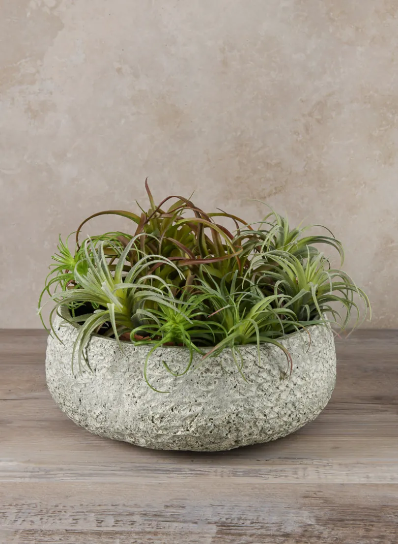 Mesquite Chalk Stone Moss Green Low Bowl