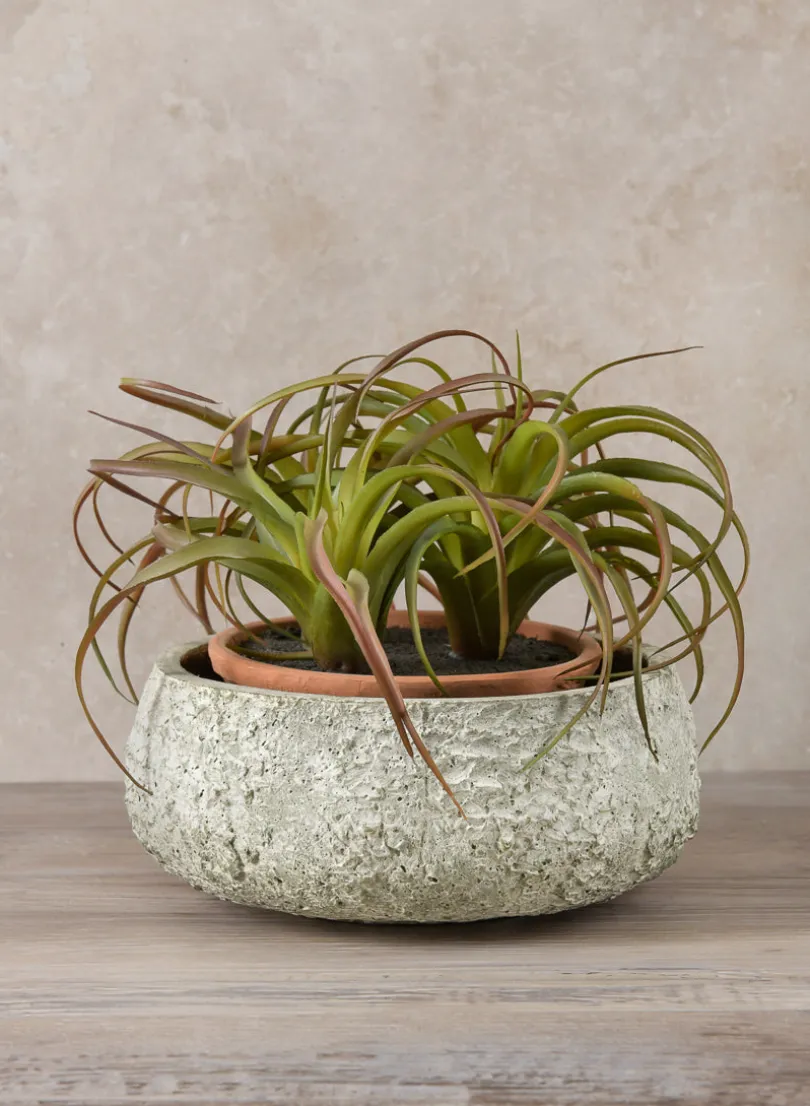 Mesquite Chalk Stone Moss Green Low Bowl