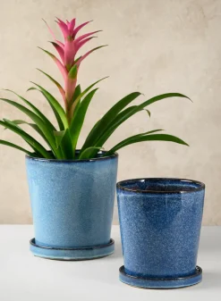 Ming Ceramic Pot with Saucer, Ice Blue