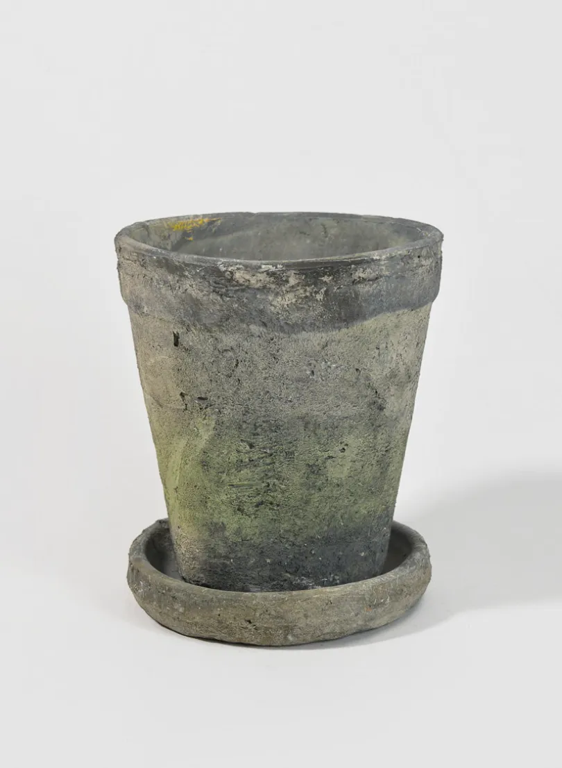 Mossed Blackstone Wide Rim Pot and Saucer