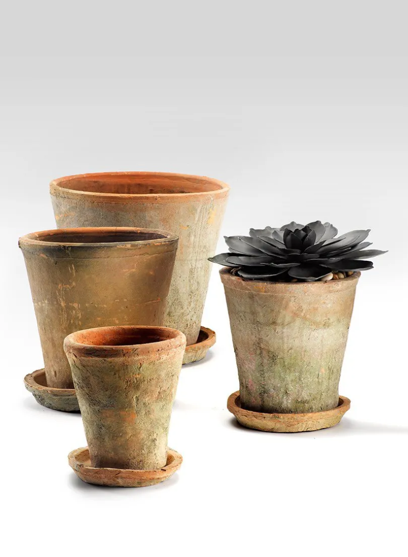 Mossed Redstone Rose Pot With Saucer