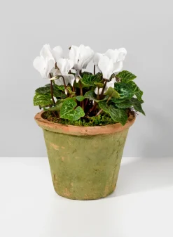 Mossed Redstone Standard Clay Pots