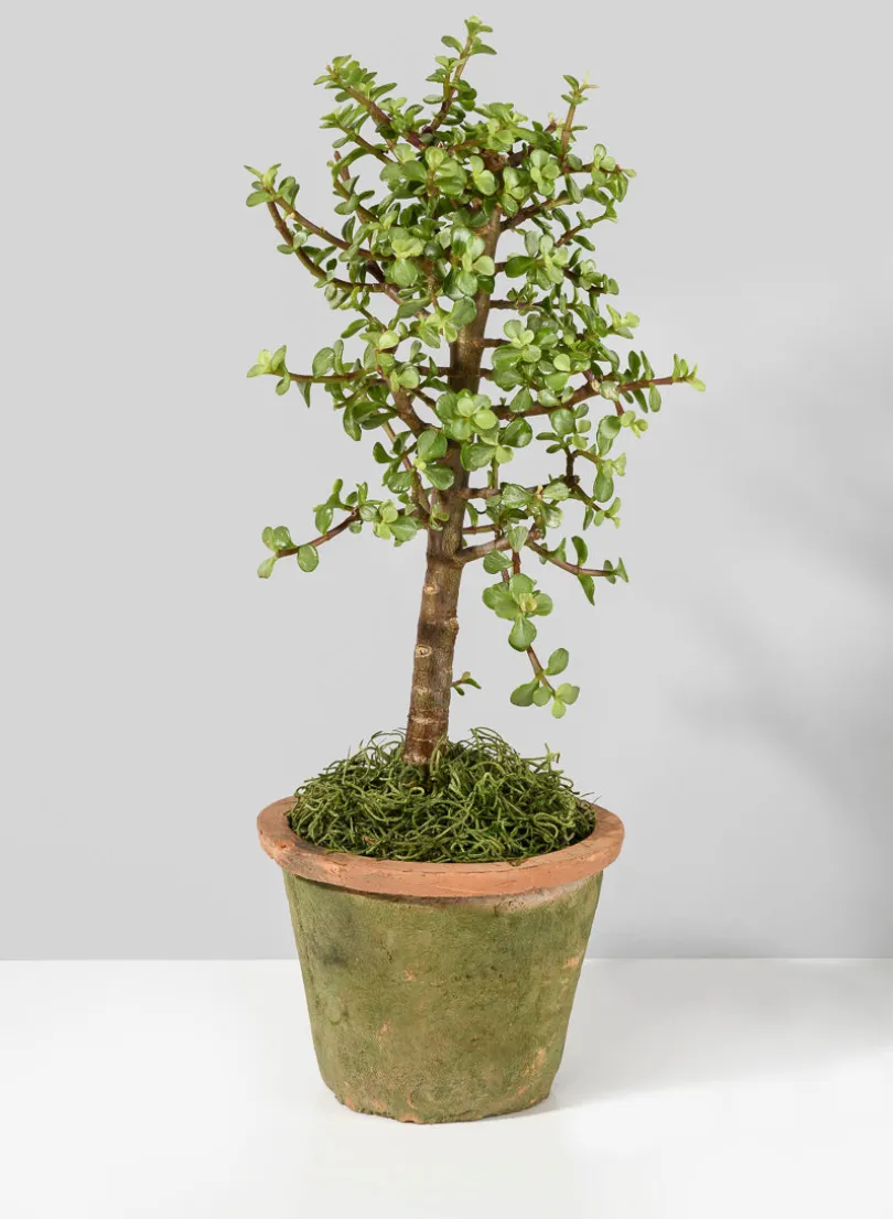 Mossed Redstone Standard Clay Pots