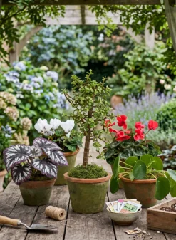 Mossed Redstone Standard Clay Pots