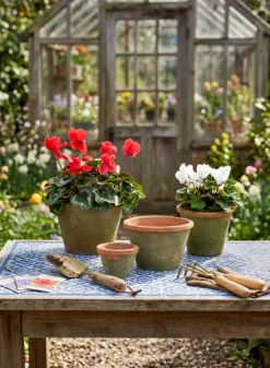 Mossed Redstone Standard Clay Pots