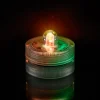 Multicolor Submersible Single LED Light