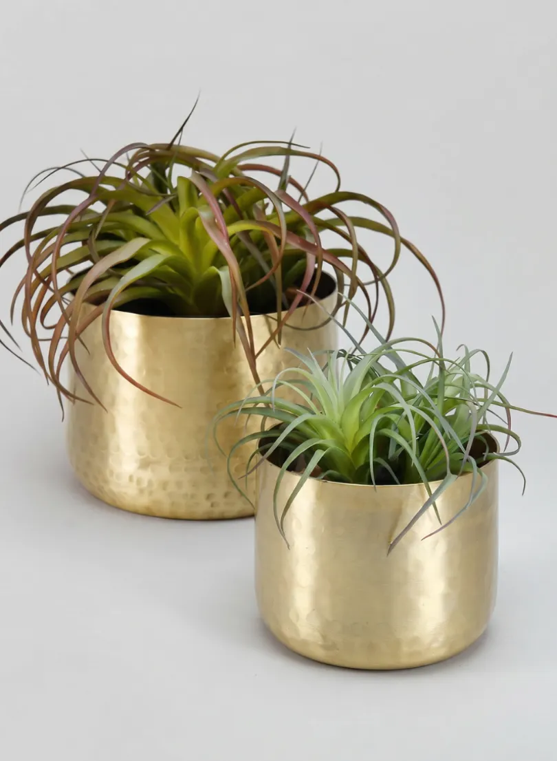 Mysore Brass Look Aluminum Pot