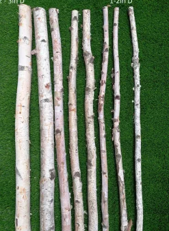 Natural Birch Poles