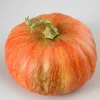 Oktoberfest Medium Real Look Medium Pumpkin