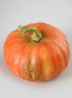 Oktoberfest Medium Real Look Medium Pumpkin