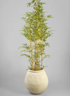 Petra Aged White Wash Fishbowl Planter
