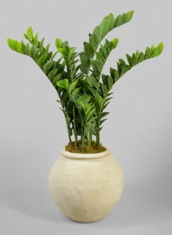 Petra Aged White Wash Fishbowl Planter