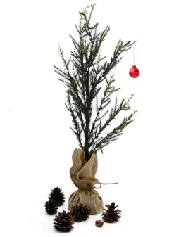 Pine Trees With Burlap Root Balls