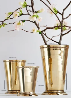 Polished Brass Julep Cups