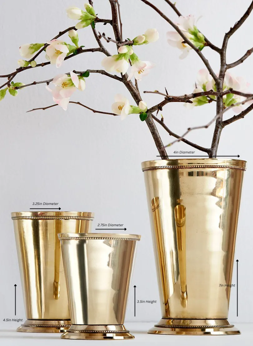 Polished Brass Julep Cups
