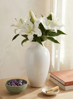 Porcelain Ginger Vase