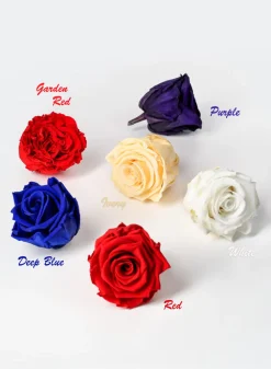Preserved Angelical White Rose, Set of 6