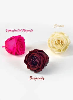 Preserved Sophisticated Magenta Rose, Set of 6