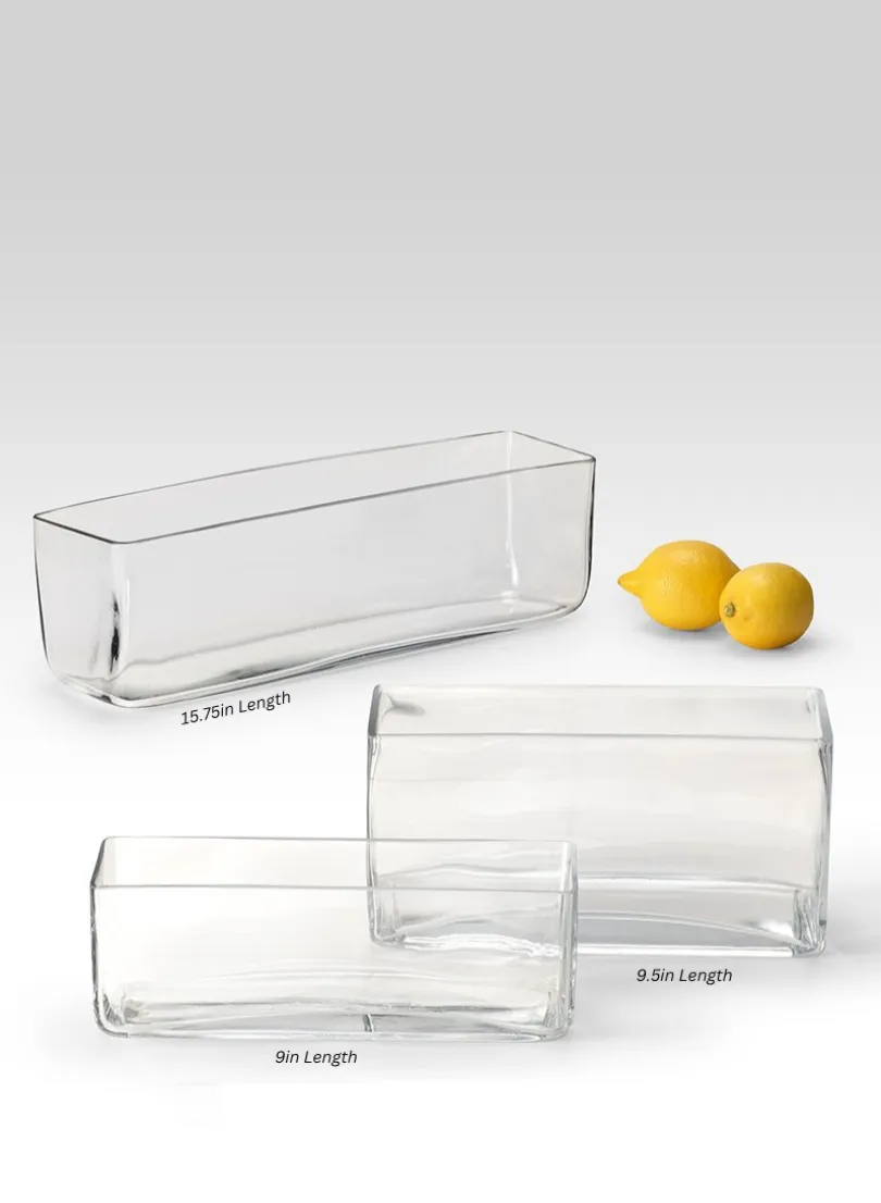 Rectangular Clear Glass Vases