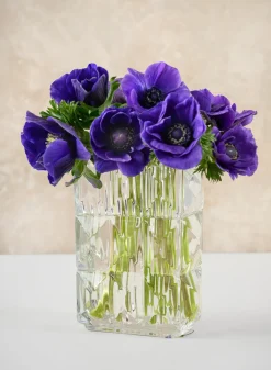 Rectangular Crystal Look Glass Vase