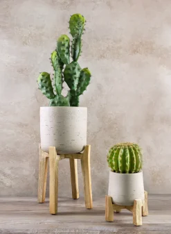 Rios White Washed Cement Pot with Wooden Legs