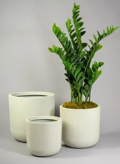Rumi White Real Look PVC Light Weight Cylinder Pot