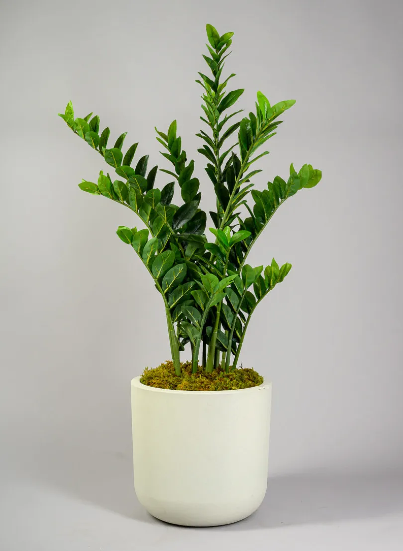 Rumi White Real Look PVC Light Weight Cylinder Pot