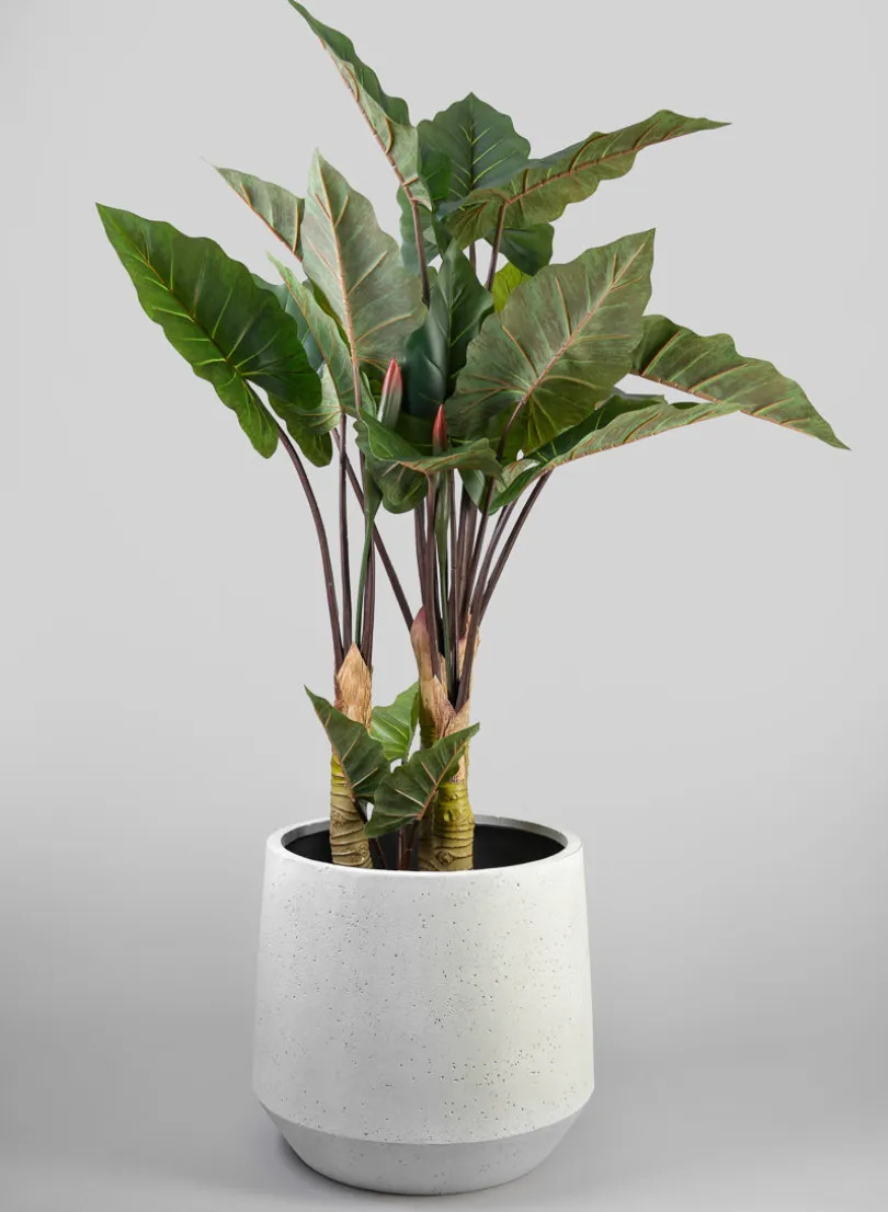 Santa Fe Sand Rock Antique White Planter