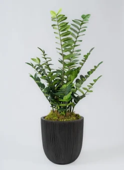 Sierra Aged Black Real Look PVC Planter