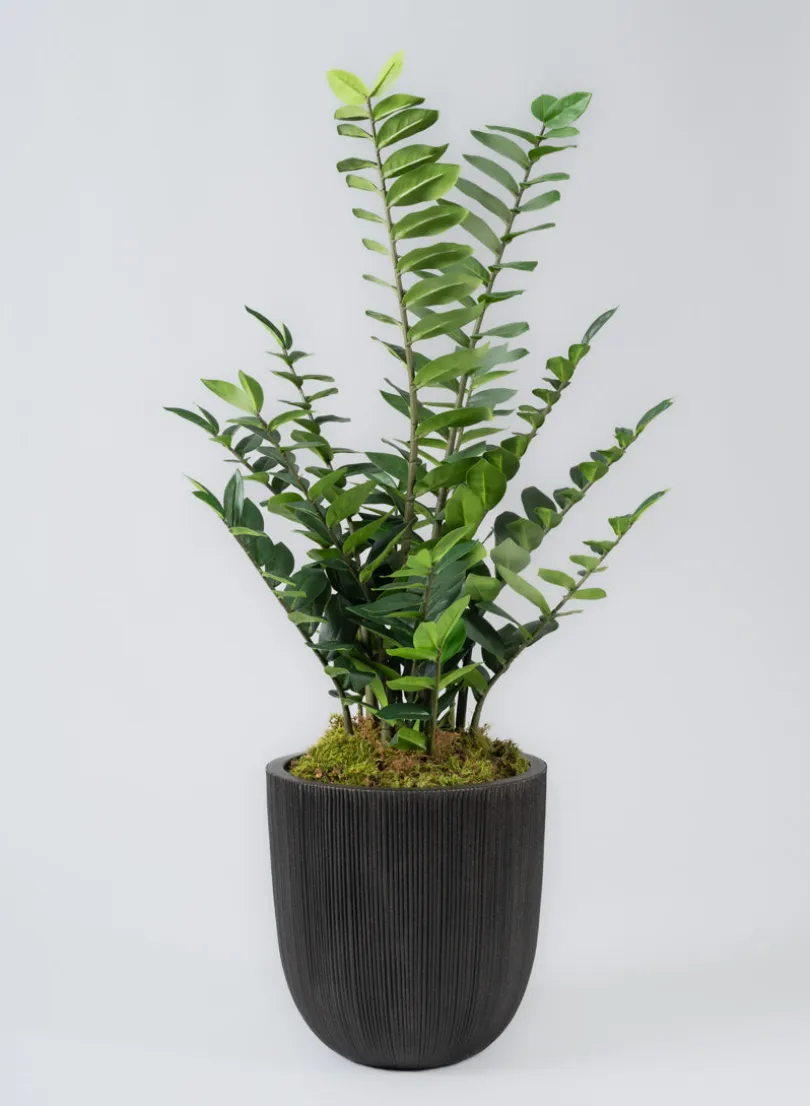 Sierra Aged Black Real Look PVC Planter