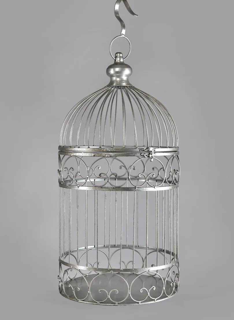 Silver Birdcages