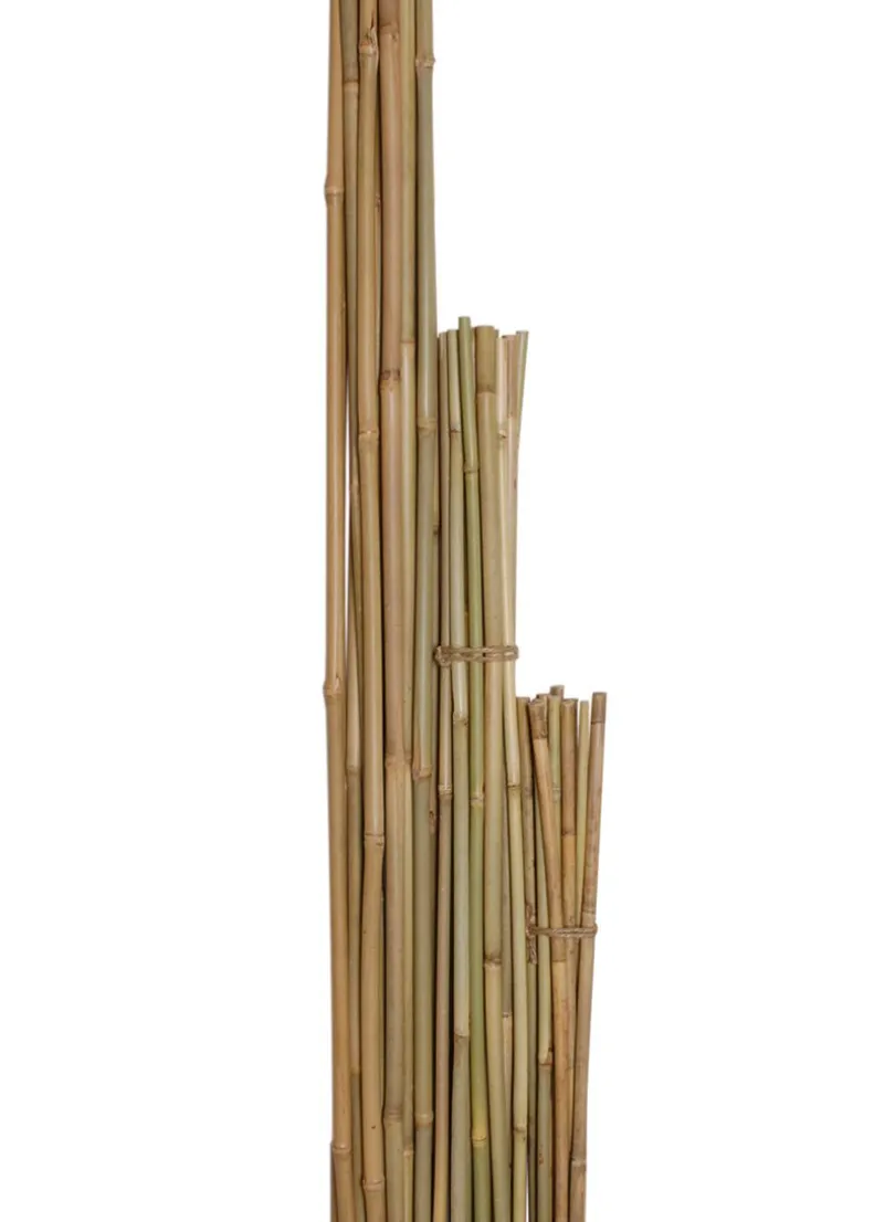 Skinny Natural Bamboo Stakes